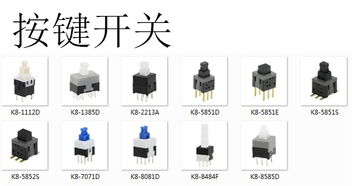 图纸定做 服务至上弹片电池连接器,3pin3.0ph10.0h,立式侧压电池座,生物医疗设备用优质厂家
