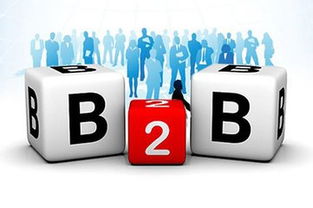 自营 撮合 ,打造医疗器械b2b电商平台